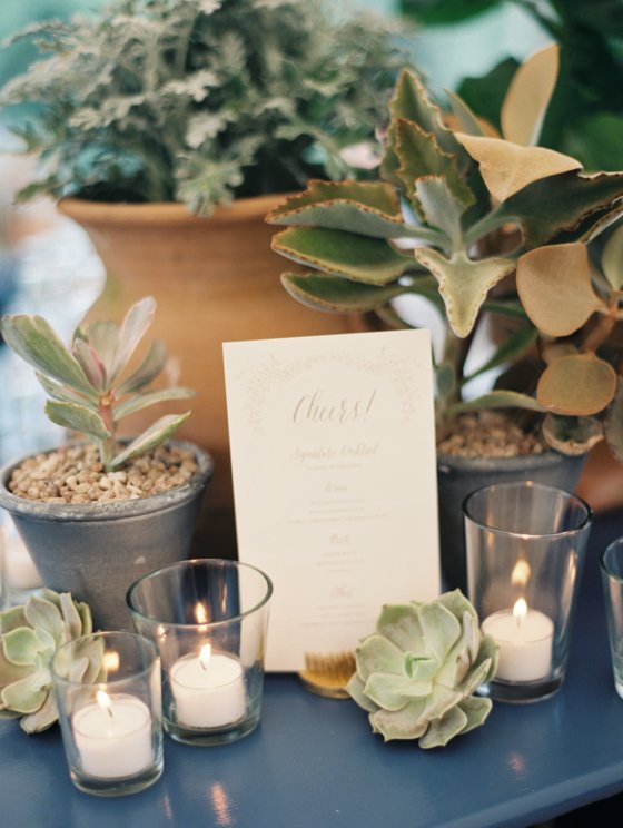 View More: http://heatherhawkinsphoto.pass.us/racheljamesbrown