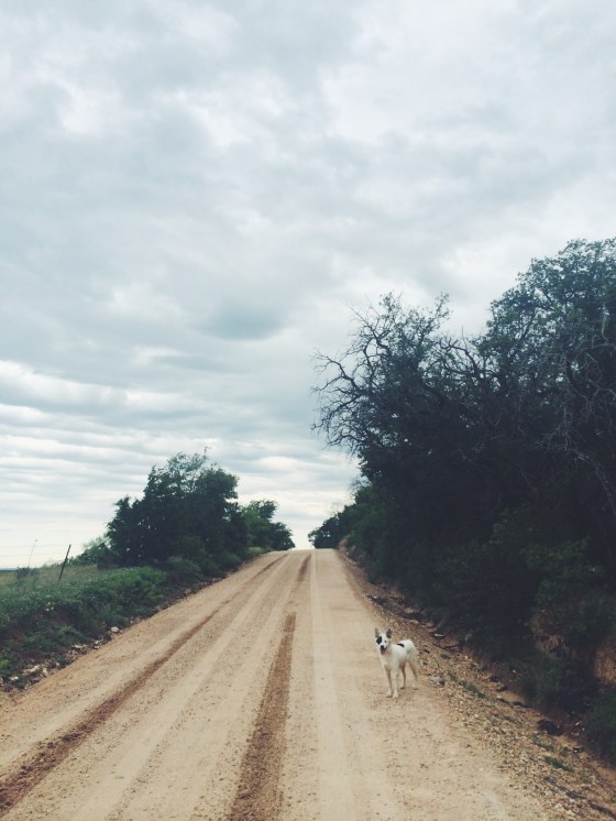 Processed with VSCOcam with f2 preset