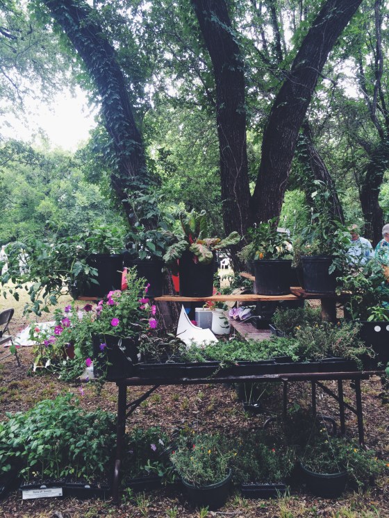 Processed with VSCOcam with f2 preset