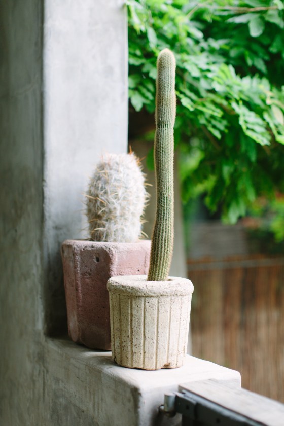 rachelandjames 0002-2