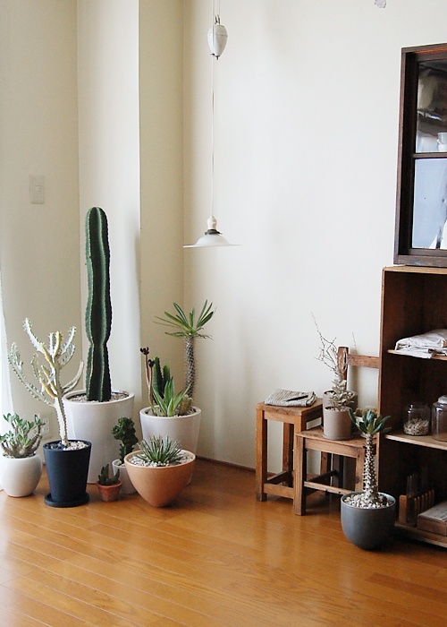 f4309ef76c4a18eac8fe0bcb29118c8a