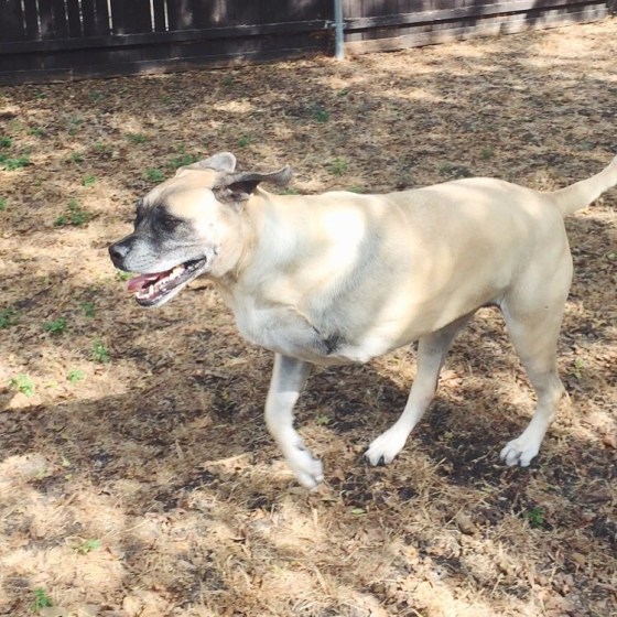 Processed with VSCOcam with f2 preset